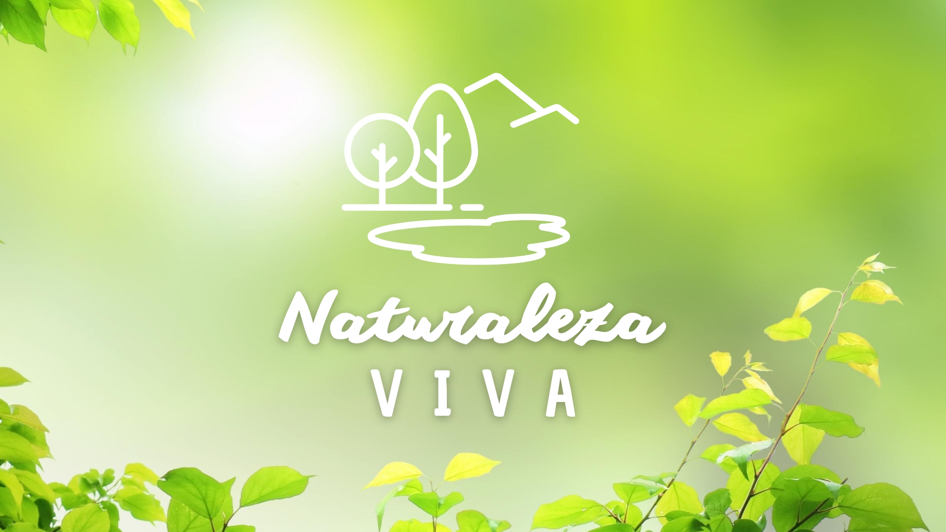 Naturaleza Viva